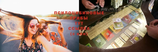 стафф Алексин