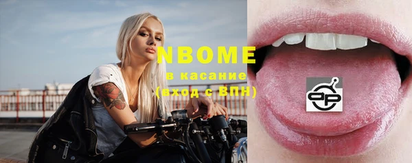 стафф Алексин