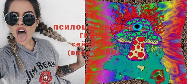 стафф Алексин