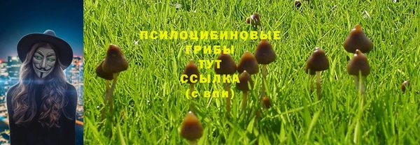 стафф Алексин