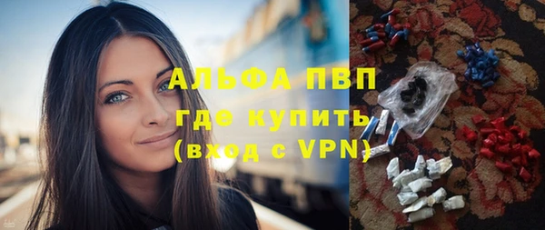 стафф Алексин